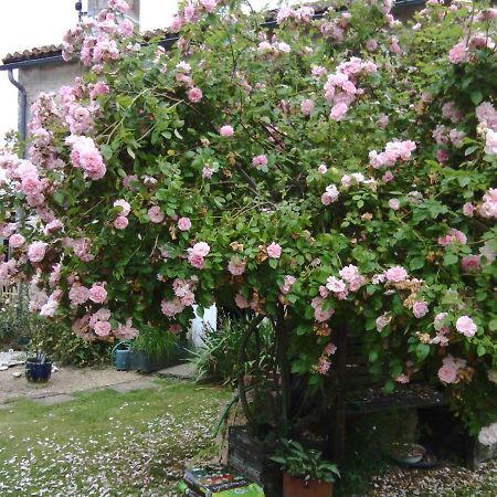 La Rosaliere Bed & Breakfast Chabournay Exterior photo